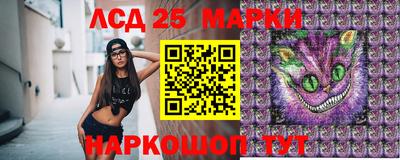 спиды Жуковский