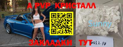 прущие грибы Заводоуковск